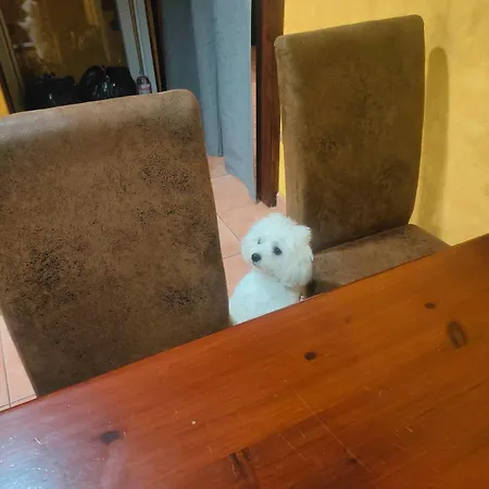 Private In Casa Kores شقة إيكود ذي لوس فينوس