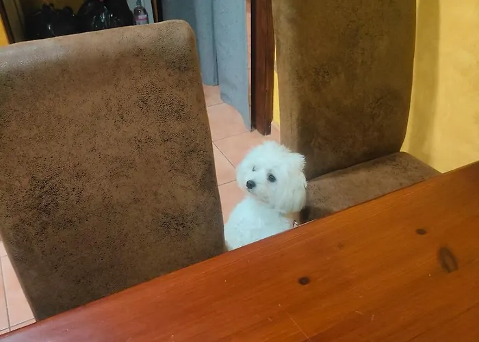 Private In Casa Kores 아파트 이코드레로스비노스